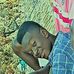 James Paschal - Facebook