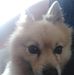 James Peake - Facebook