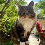 James Peckham - @peckham2474 - Instagram