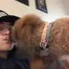 James Pecora - @ur___mom690 - TikTok
