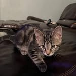 james - @james.peirson - Instagram