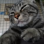 裴士佐 - @james_pei - Instagram