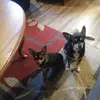 jamespelfrey737 - @newtonjp - TikTok