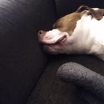 James Harvey pelley - @jamesharvey470 - Instagram