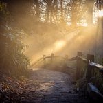 James Penberthy - @shutterup_photographic - Instagram