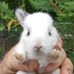 James Pennell - Facebook