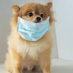 James  percell - @percell639 - Instagram