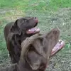 jamesperillo - @jamesperillo - TikTok