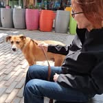 James Perino - @james.perino.505 - Instagram