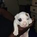 Perris James - Facebook