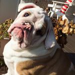 James Petrella - @wrinklyjerry - Instagram