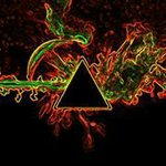 James Petrillo - @tenny26440 - Instagram