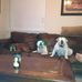 James Petrillo - Facebook