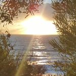 James Petrone - @petronejames - Instagram