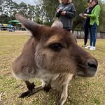 James Pettit - @james_pettit41 - Instagram
