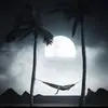 James petter - @james.petter90 - TikTok