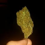 james petterson - @petterson876 - Instagram