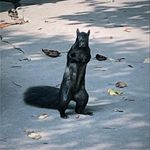 James Pettinger - @jcpettin - Instagram