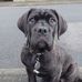 James Pettit - Facebook