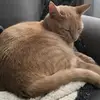 jameskupetz820 - @jameskupetz820 - TikTok