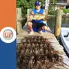 James Peyton - @jamespeyton2002 - TikTok
