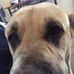 James Pfaff - Facebook