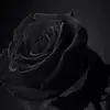 James Pfeiffer - @jamespfeiffer53 - TikTok