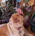 James Pfiffner Sr. - Facebook