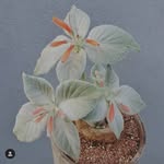 @james_philips._ - Instagram