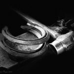 𝔍𝔞𝔪𝔢𝔰 𝔓𝔥𝔦𝔭𝔭𝔰 🐎 𝔉𝔞𝔯𝔯𝔦𝔢𝔯 - @soundhorseshoeing - Instagram