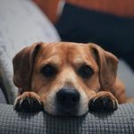 James Phung - @jkhimnmyz - Instagram