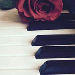 James Lee. 이태규 - @james_piano_1234 - Instagram