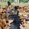 jamespiatt675 - @jamespiatt675 - TikTok