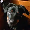 James Pictou - @james.pictou - TikTok