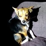 Marquez James Picard - @marquezpicard - Instagram