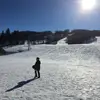 James - @james.occhiuto - TikTok