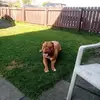 James Pickering - @james.pickering05 - TikTok