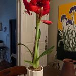 James Pickle - @pickle4869 - Instagram