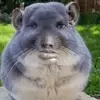 James Tickle pickle - @james.tickle.pick - TikTok