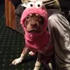 jamespickney879 - @jamespickney879 - TikTok