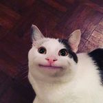 James Picone - @james._.pinecone - Instagram
