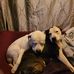 James Picou - Facebook