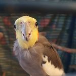 James Pidgeon - @jwp6553 - Instagram