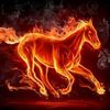 Akhlaqur_Rahman - @james_pidock - TikTok