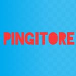 James Pingitore - @pingitore_explortory_committee - Instagram