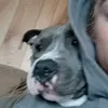James Pinkston - @20.jamespinkston09 - TikTok