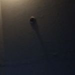 James Pinney - @walmartbagjamal - Instagram