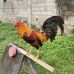 James Barana - Facebook