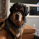 James Pitz - @pitzjames - Instagram