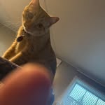 James W. Pitzka Jr. - @pitzkajames - Instagram